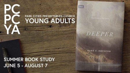 Young Adult Summer Book Study