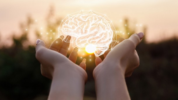 Third Third Brain Luncheon