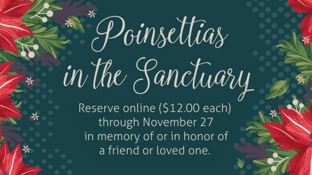 Poinsettias in the Sanctuary 2023