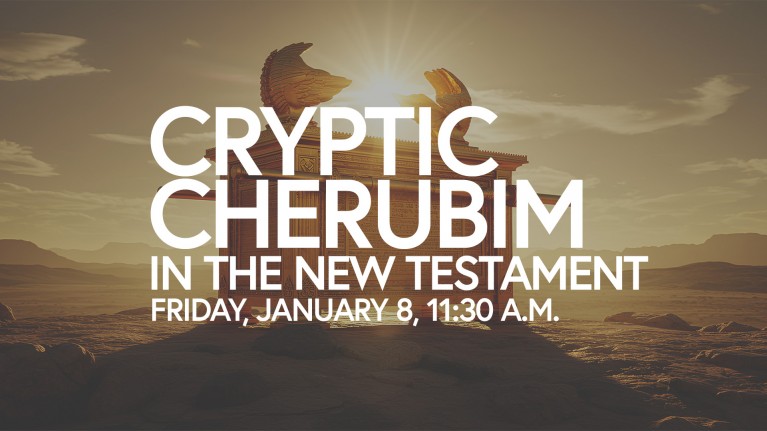 2027 60+ Cryptic Cherubim 
