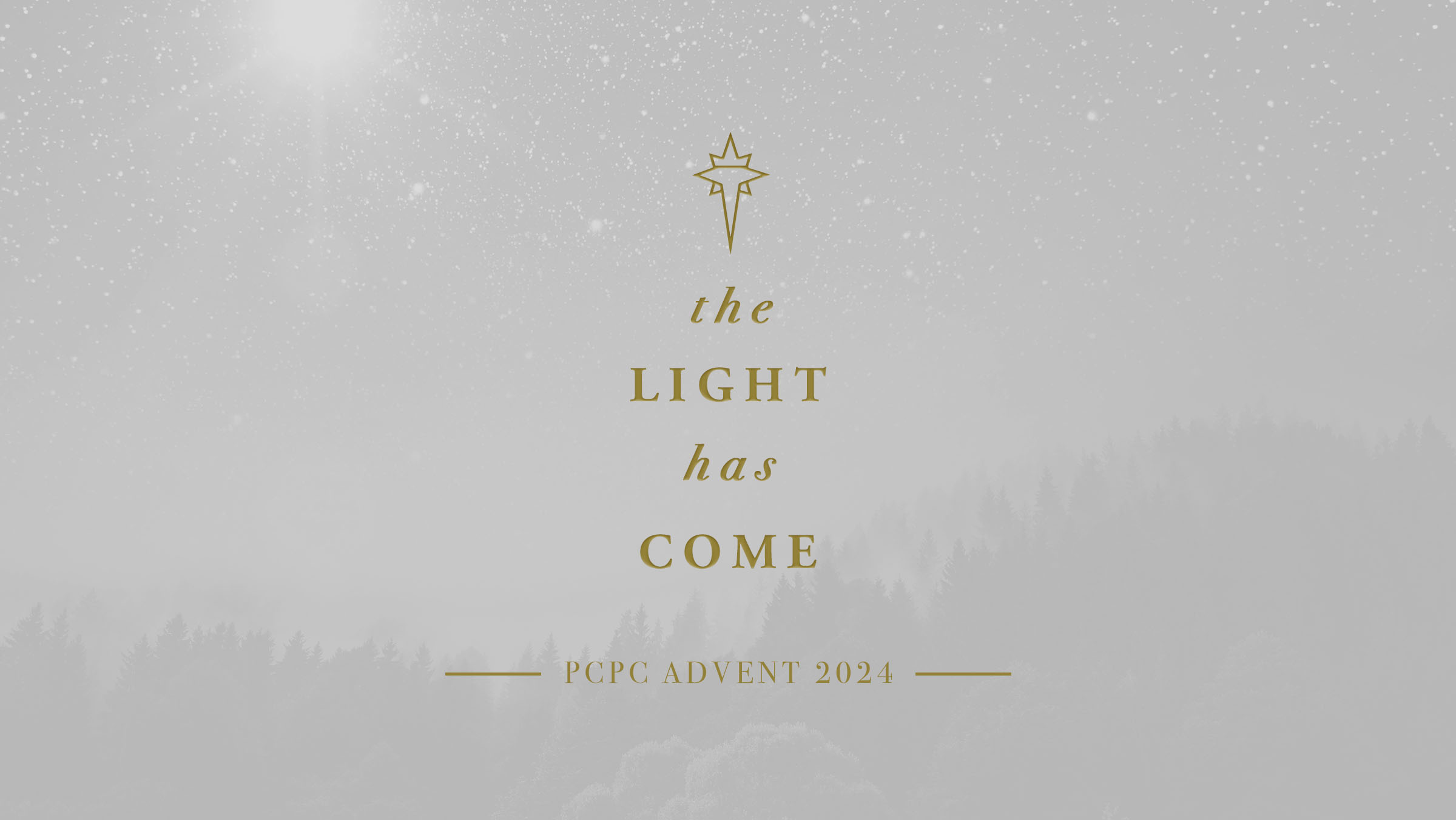 Advent 2024: The Light Has Come